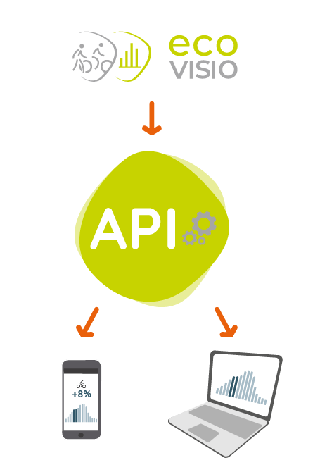 Software und Analysetools