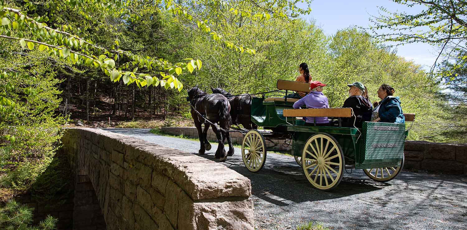 Wheelchair Accessible Carriage funded by the Diana Davis Spencer Foundation crosses over the Stanley Brook carriage road bridge in Seal Harbor. (Photo by Julia Walker Thomas/Friends of Acadia)